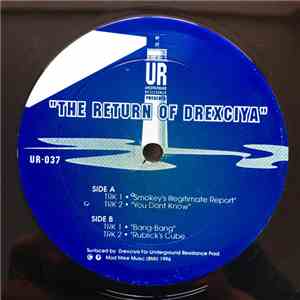 Drexciya - The Return Of Drexciya mp3 album