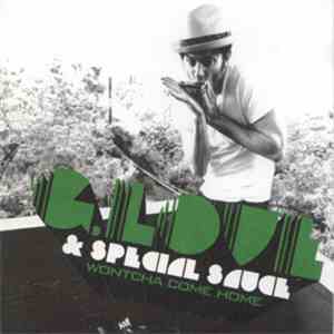 G. Love & Special Sauce - Wontcha Come Home mp3 album