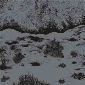 High aura'd / Blood Bright Star - Split mp3 album