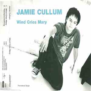 Jamie Cullum - Wind Cries Mary mp3 album