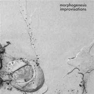 Morphogenesis - Improvisations mp3 album