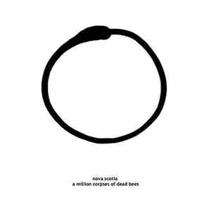 Nova Scotia  / Eye  - A Million Corpses Of Dead Bees / High Road mp3 album