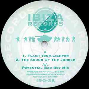 Potential Bad Boy - Flash Your Lighter mp3 album