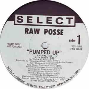 Raw Posse - Pumped Up mp3 album