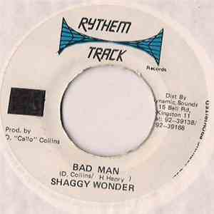Shaggy Wonder - Bad Man mp3 album