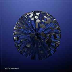 Skygaze - Endless Harvest mp3 album