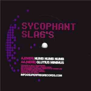 Sycophant Slags - Numb Numb Numb mp3 album