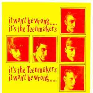 Teenmakers - It Won't Be Wrong.....It's The Teenmakers mp3 album
