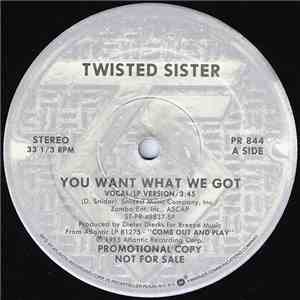 Twisted Sister - You Want What We Got mp3 album