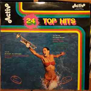 Unknown Artist - 24 Top Hits mp3 album