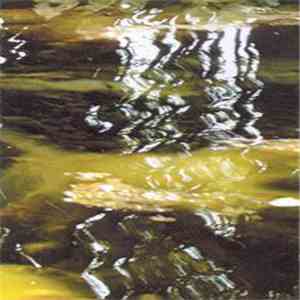 Uton - Substance Organic mp3 album