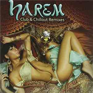 Various - Harem: Club & Chillout Remixes mp3 album