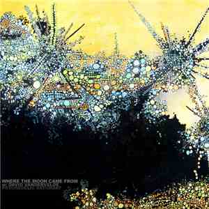 Where The Moon Came From w/ David Vandervelde - Psychedelic Saturday mp3 album