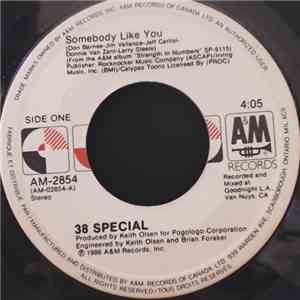 38 Special - Somebody Like You mp3 album