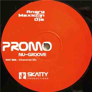 Angry Mexican DJs - Nu-Groove mp3 album