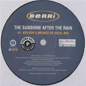 BERRi - The Sunshine After The Rain mp3 album