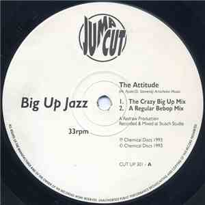 Big Up Jazz - The Attitude / Cool Jazz, Cool Jazz mp3 album