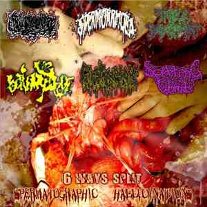 Bodily Wastes / Spermorrhoea / Triple Dewormint / Bilary Sludge / Spitting Womb / Circliquetois - Spermatographic Hallucinations - 6 Way Split mp3 album