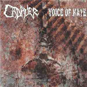 Cadaver / Voice Of Hate - Split EP mp3 album