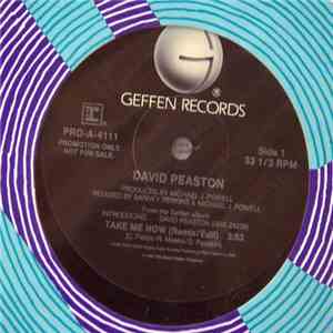 David Peaston - Take Me Now mp3 album