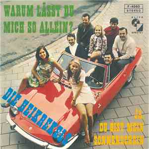 Die Heikrekels - Warum Lässt Du Mich So Allein? mp3 album