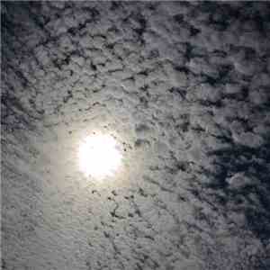 Duff Egan - Natural Light mp3 album