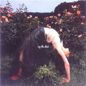 Globe - Try This Shoot mp3 album