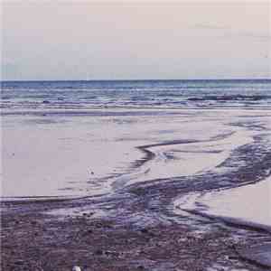 In Just Out - Homesense mp3 album
