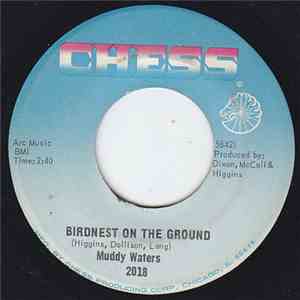 Muddy Waters - Birdnest On The Ground mp3 album