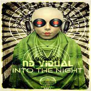 ND Vidual - Into The Night mp3 album