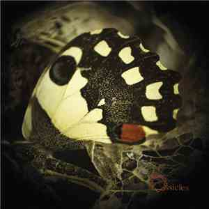 Ossicles - Music For Wastelands mp3 album