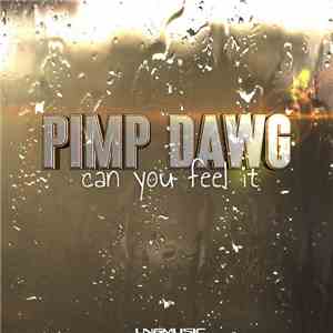 Pimp Dawg - Can You Feel It mp3 album