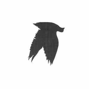Pray For Teeth - I'm Still Finding Feathers In My Hair mp3 album