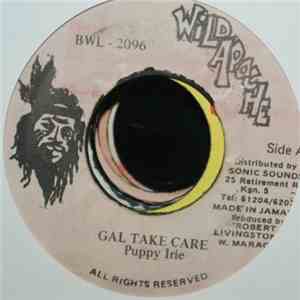 Puppy Irie - Gal Take Care mp3 album