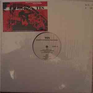 Tes - Sound Investments mp3 album