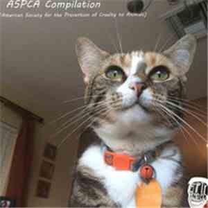 The Maples  - Coast to Coast Compilation mp3 album