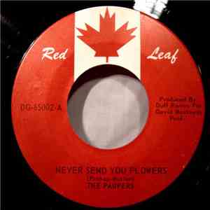 The Paupers - Never Send You Flowers mp3 album