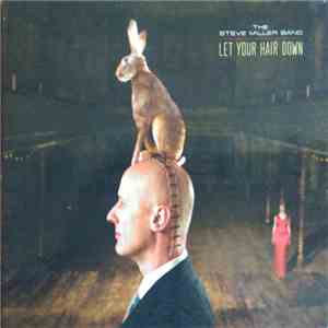 The Steve Miller Band - Let Your Hair Down mp3 album