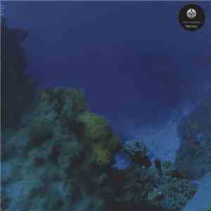 Tiny Fingers - The Fall mp3 album