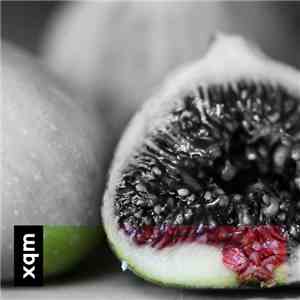 xqm - Session #22 || 08.10.2016 mp3 album
