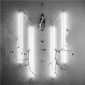 Alkerdeel / Nihill - The Abyss Stares Back - Vol. IV mp3 album