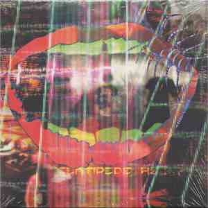 Animal Collective - Centipede Hz mp3 album