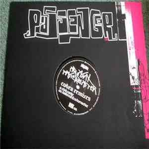 Aquasky vs. Masterblaster - Cobra Remixes mp3 album