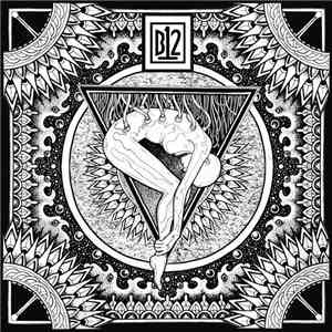 B12 - Electro-Soma II mp3 album