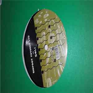 Bigfoot Futures Ltd vs. Soli - Drums mp3 album