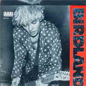Birdland  - Rock 'n' Roll Nigger mp3 album