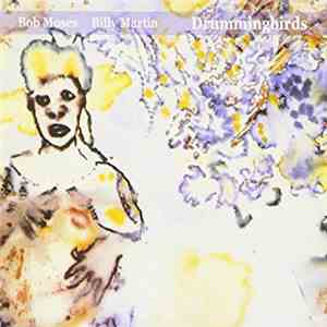 Bob Moses / Billy Martin - Drummingbirds mp3 album