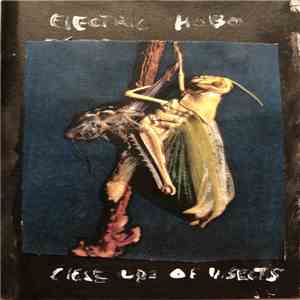 Electric Hobo - Close Ups Of Insects mp3 album