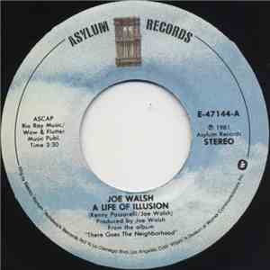 Joe Walsh - A Life Of Illusion / Rockets mp3 album