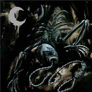Leviathan  - A Silhouette In Splinters mp3 album